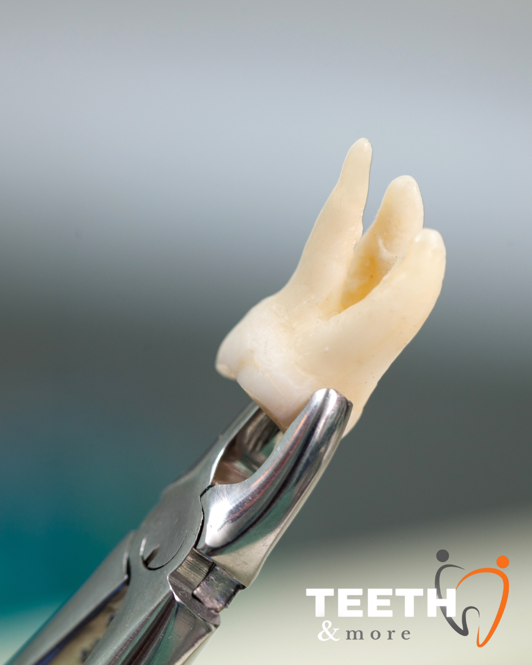 Untitled design (83)