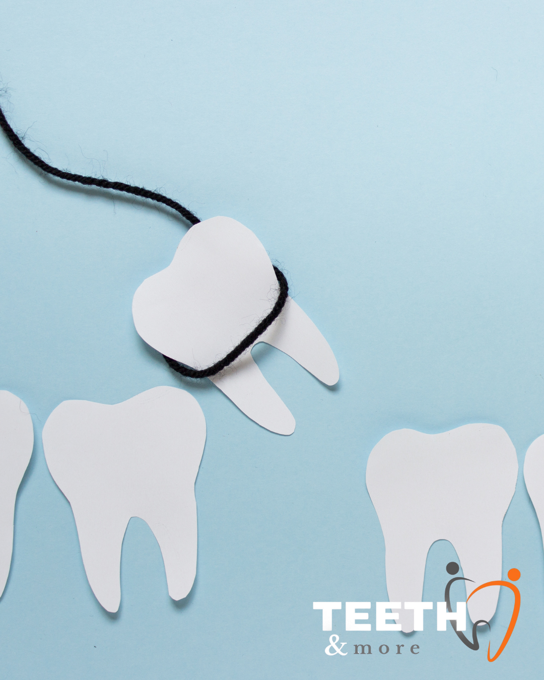 Untitled design (86)