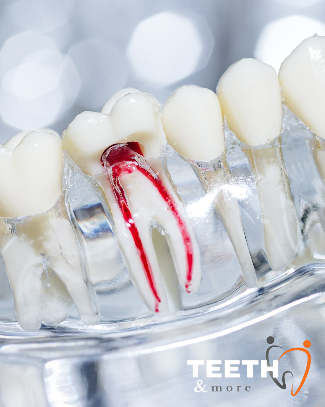 Untitled design (88)