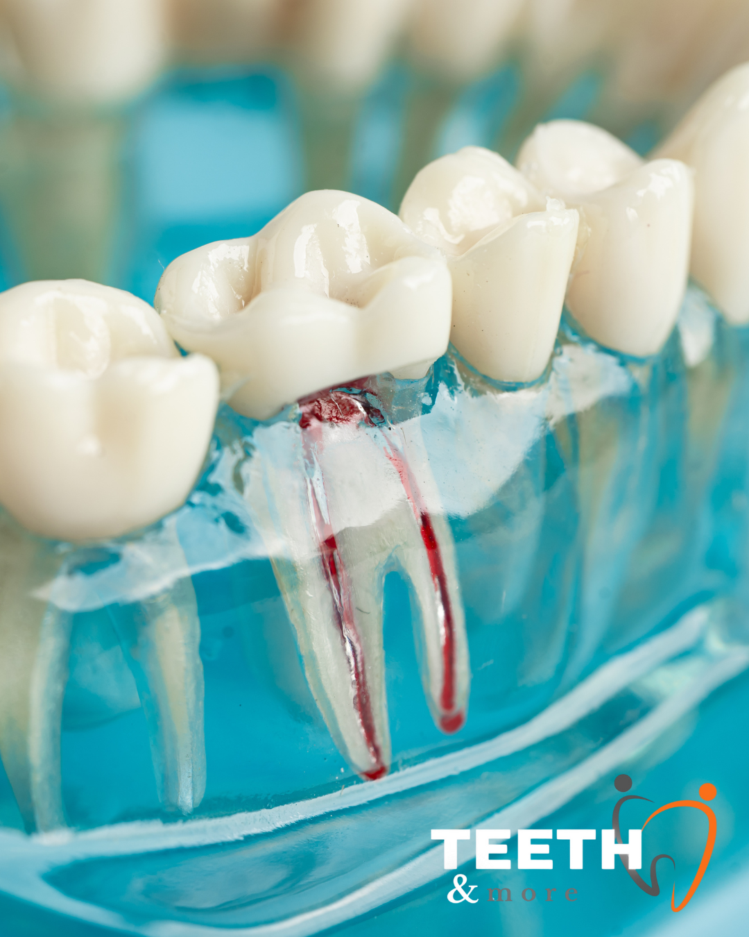 Untitled design (89)