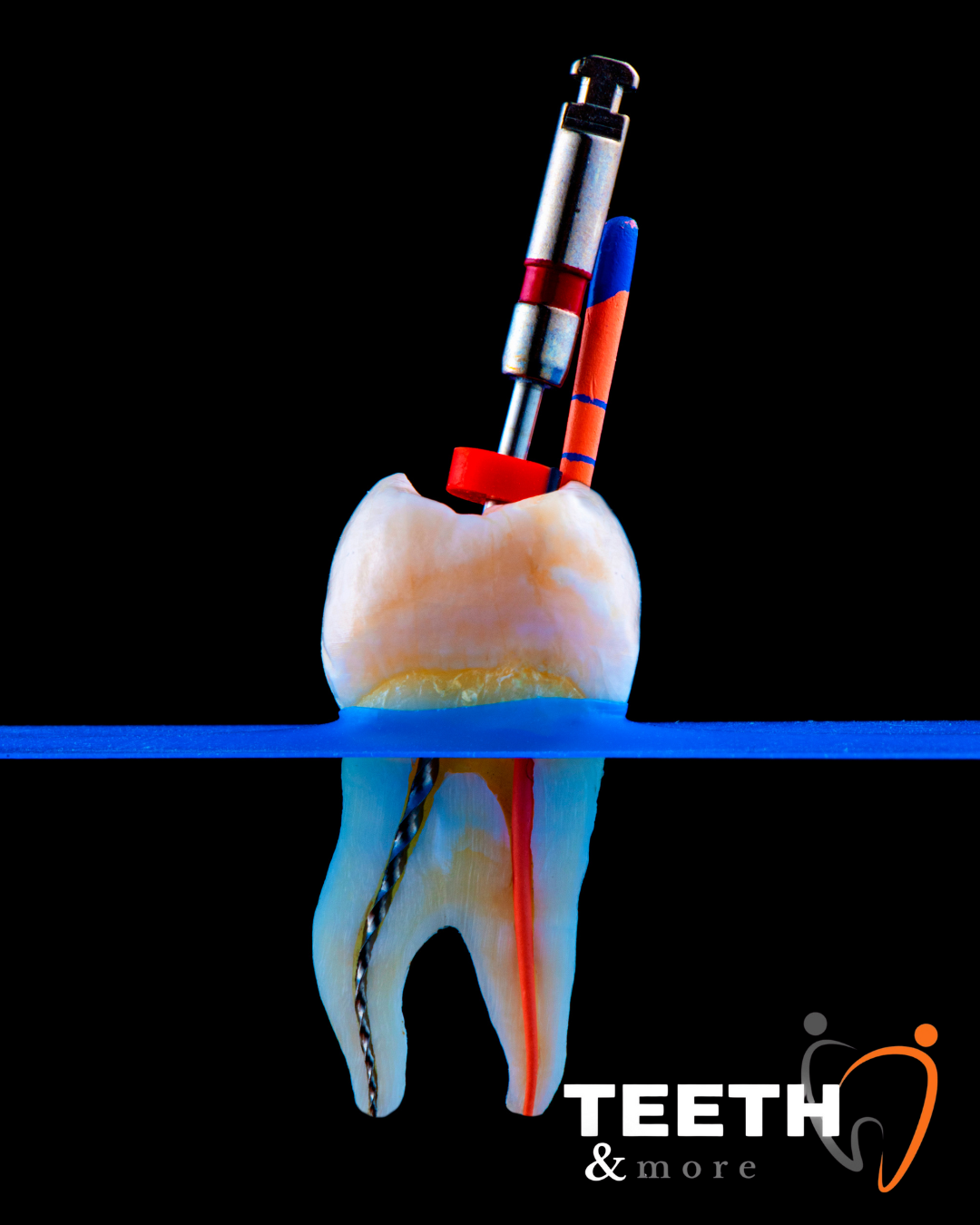 Untitled design (90)