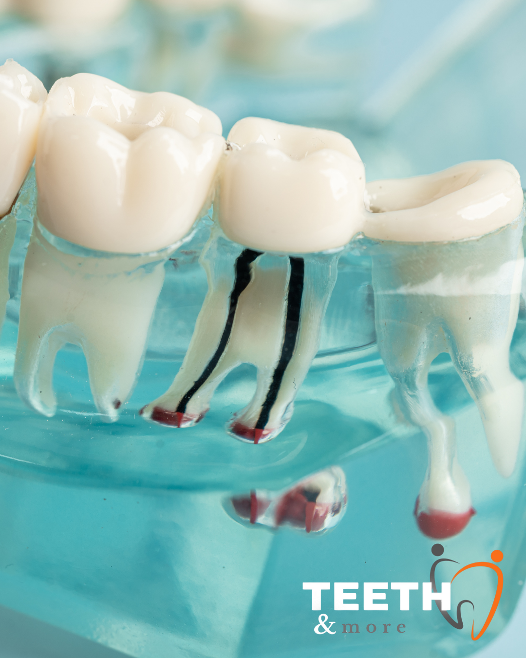 Untitled design (94)