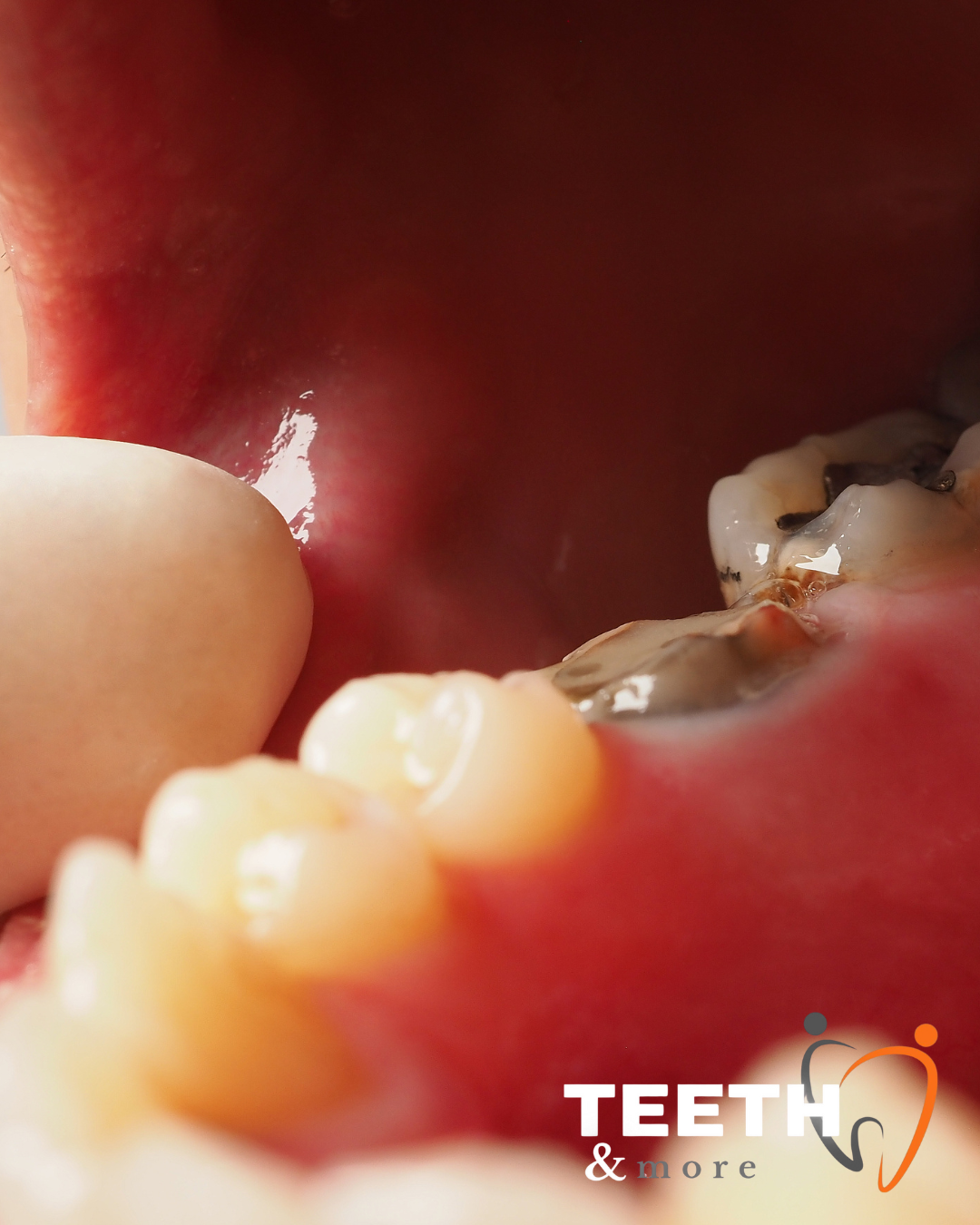 Untitled design (95)