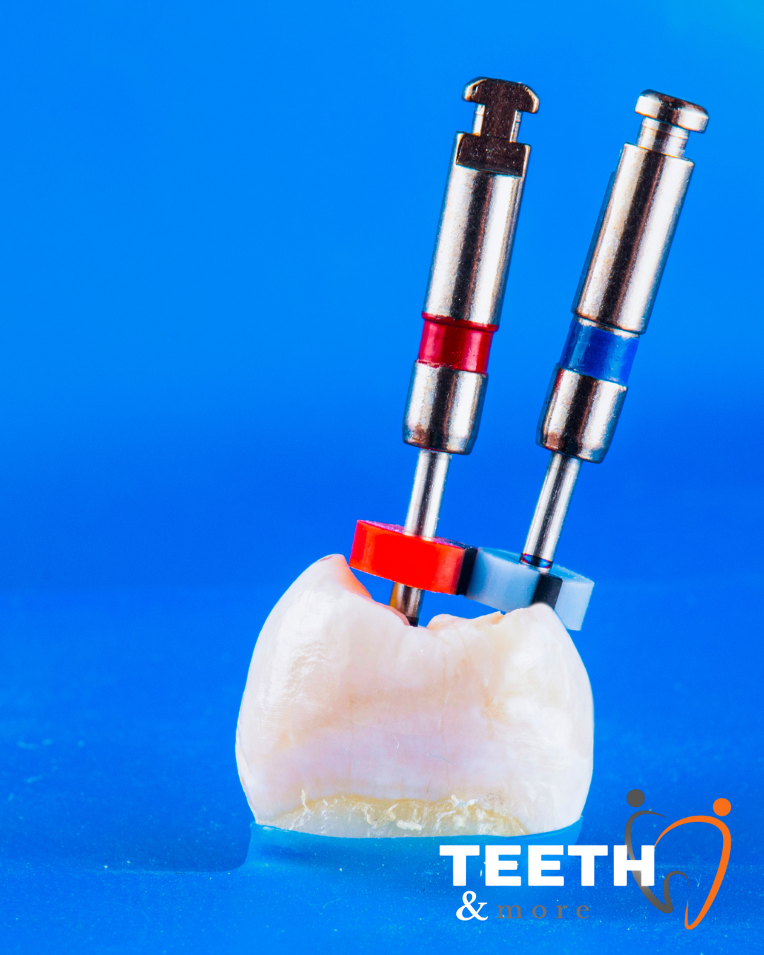 Untitled design (96)